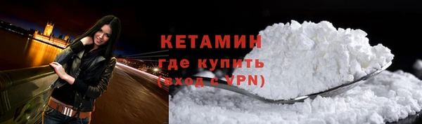 амф Дмитриев