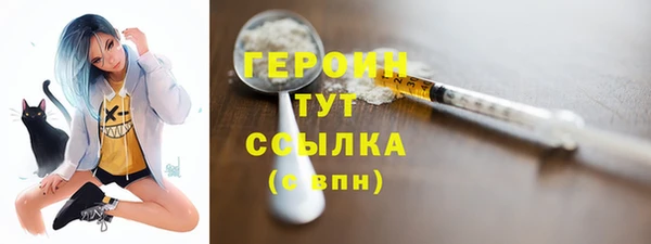 амф Дмитриев