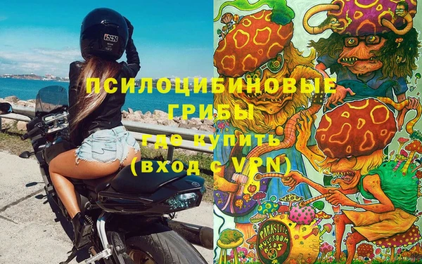 амф Дмитриев