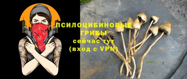 спайс Дмитровск