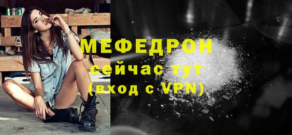 амф Дмитриев