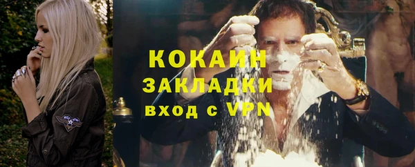 амф Дмитриев