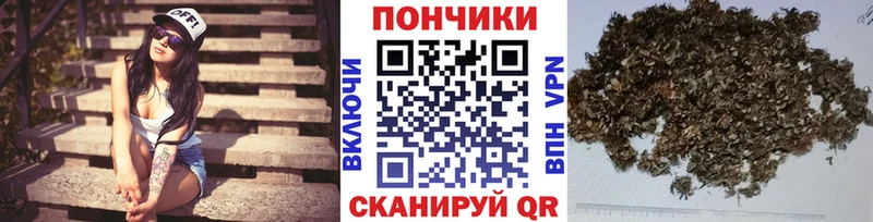Шишки марихуана SATIVA & INDICA  Купить закладки  Ахтырский 